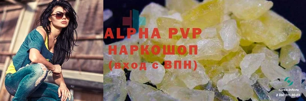 прущий лед Алзамай