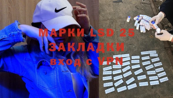 прущий лед Алзамай