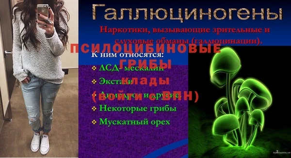 прущий лед Алзамай