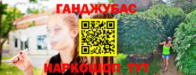 ПСИЛОЦИБИНОВЫЕ ГРИБЫ Нальчик