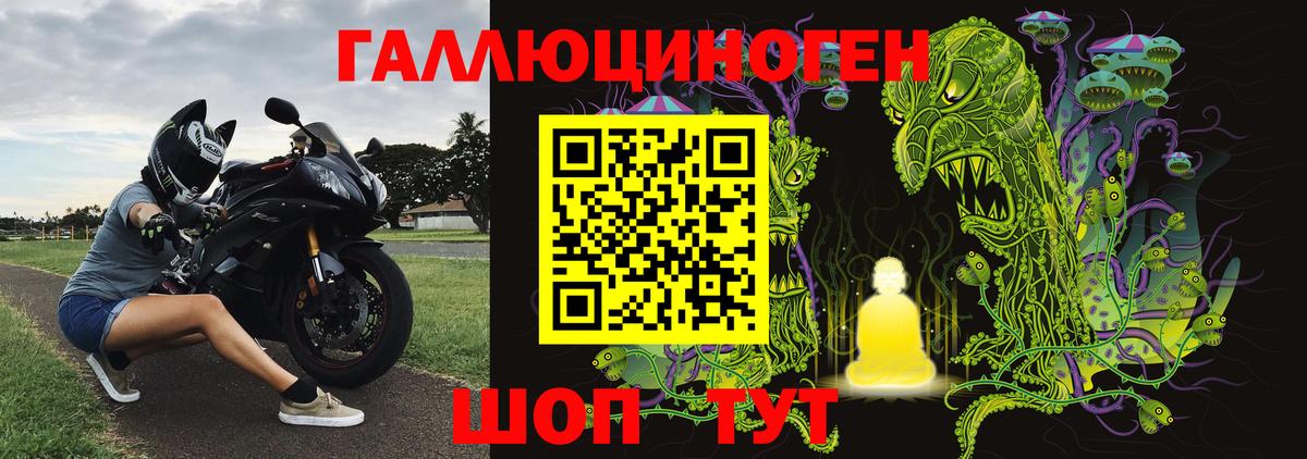 Псилоцибиновые грибы Psilocybine cubensis Уварово